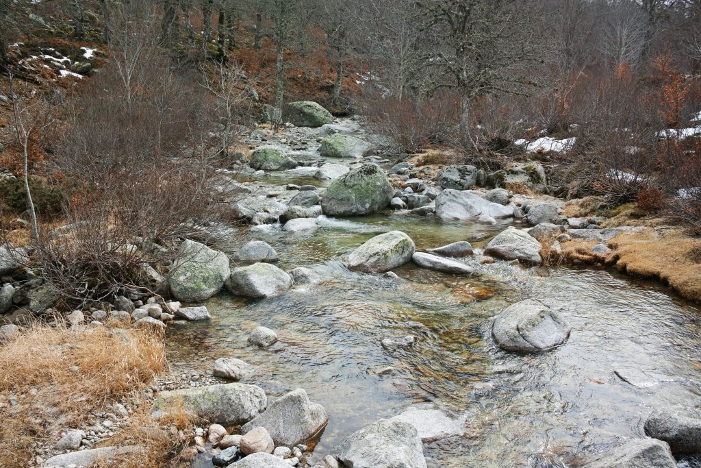 Ruisseau de Forcinchesi, creek on the Coscione plateau